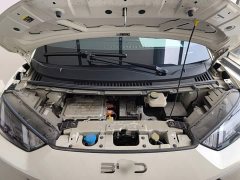 BYD Seagull Glory Edition 405km Flying Edition - ფოტო 20