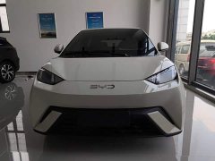 BYD Seagull Glory Edition 405km Flying Edition - ფოტო 3