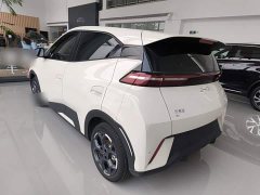 BYD Seagull Glory Edition 405km Flying Edition - ფოტო 5