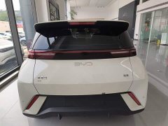 BYD Seagull Glory Edition 405km Flying Edition - ფოტო 6