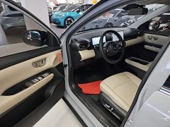 Wuling Binguo PLUS 510km Flagship Four-Seater - ფოტო 16