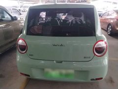 Changan Lumin 205km Pure Fragrance Edition - ფოტო 6