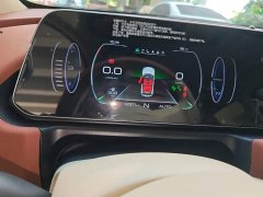 ORA Good Cat 400km Standard Range Athena Edition LFP Battery - ფოტო 12
