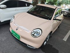 ORA Good Cat 400km Standard Range Athena Edition LFP Battery - ფოტო 2