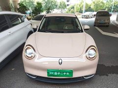 ORA Good Cat 400km Standard Range Athena Edition LFP Battery - ფოტო 3