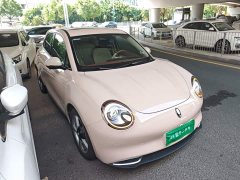 ORA Good Cat 400km Standard Range Athena Edition LFP Battery - ფოტო 4