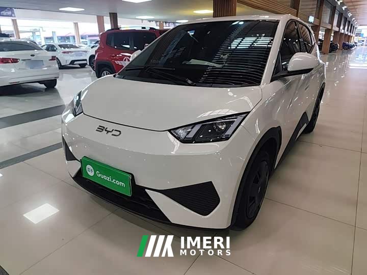 BYD Seagull Smart Drive 305km Vitality Edition