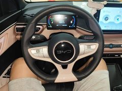 BYD Seagull Smart Drive 305km Vitality Edition - ფოტო 11