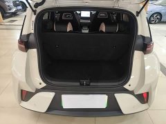 BYD Seagull Smart Drive 305km Vitality Edition - ფოტო 19