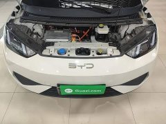 BYD Seagull Smart Drive 305km Vitality Edition - ფოტო 20