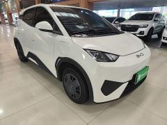 BYD Seagull Smart Drive 305km Vitality Edition - ფოტო 4