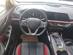 Changan Oushan X5 Enjoy Edition 1.5T DCT Luxury - ფოტო 11