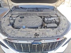 Changan Oushan X5 Enjoy Edition 1.5T DCT Luxury - ფოტო 20