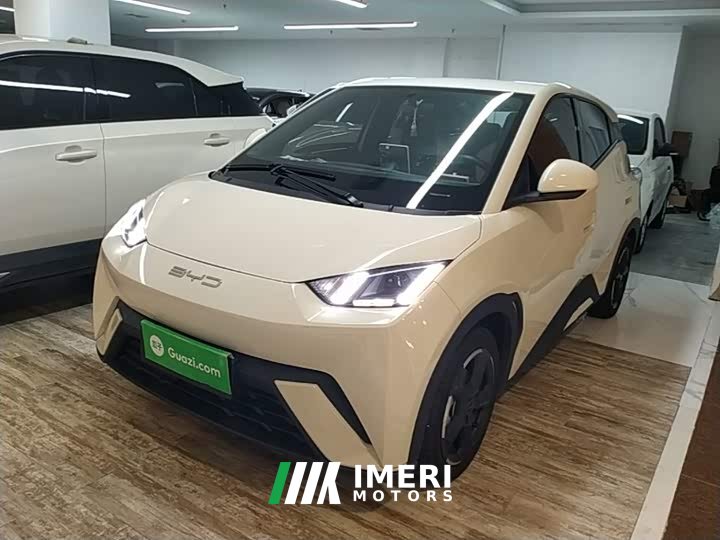 BYD Seagull 2023 Freedom Edition - ავტომობილი ჩინეთიდან