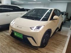 BYD Seagull 2023 Freedom Edition - ფოტო 2
