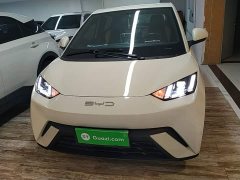 BYD Seagull 2023 Freedom Edition - ფოტო 3