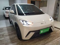 BYD Seagull 2023 Freedom Edition - ფოტო 4