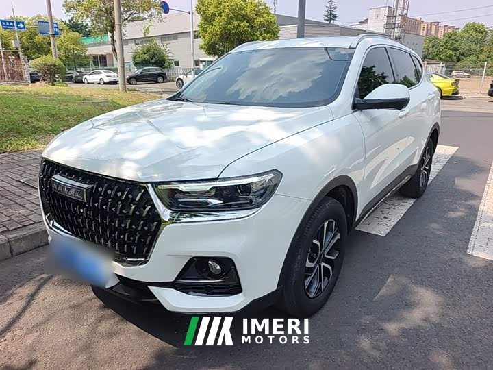 Haval H6 2023 National Trend Edition 1.5T Automatic Urban Version - ავტომობილი ჩინეთიდან