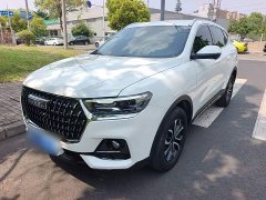 Haval H6 2023 National Trend Edition 1.5T Automatic Urban Version - ფოტო 1