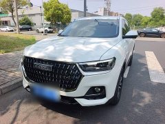 Haval H6 2023 National Trend Edition 1.5T Automatic Urban Version - ფოტო 3