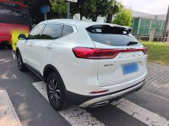 Haval H6 2023 National Trend Edition 1.5T Automatic Urban Version - ფოტო 5