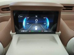 FAW Besturn Xiaoma 222km Colorful Edition - ფოტო 12