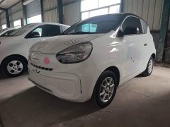 SAIC Clever 311km Vitality Pop Edition - ფოტო 1