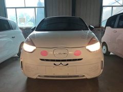 SAIC Clever 311km Vitality Pop Edition - ფოტო 3
