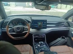 BYD Yuan Plus DM-i 2021 112KM Premium Edition - ფოტო 10