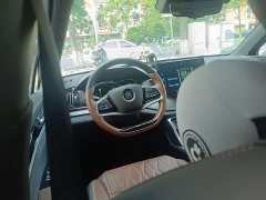 BYD Yuan Plus DM-i 2021 112KM Premium Edition - ფოტო 11