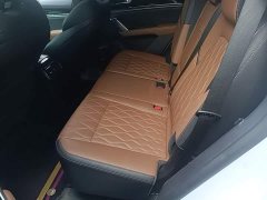 BYD Yuan Plus DM-i 2021 112KM Premium Edition - ფოტო 17