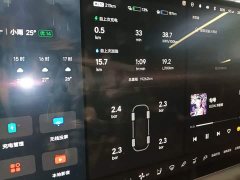Li Auto L9 2022 Max - ფოტო 12