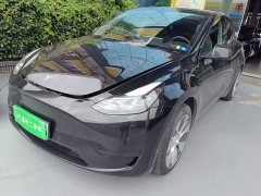 Tesla Model Y Rear-Wheel Drive - ფოტო 2