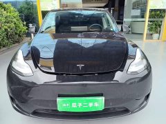 Tesla Model Y Rear-Wheel Drive - ფოტო 3