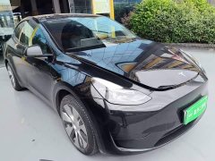 Tesla Model Y Rear-Wheel Drive - ფოტო 4