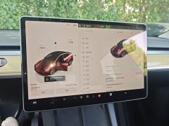 Tesla Model Y Rear-Wheel Drive - ფოტო 13