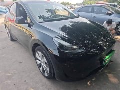 Tesla Model Y Rear-Wheel Drive - ფოტო 4