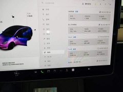 Tesla Model Y Standard Range RWD - ფოტო 12