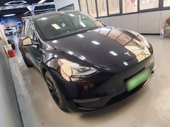 Tesla Model Y Standard Range RWD - ფოტო 4