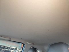 Wuling Hongguang MINIEV 2020 Zizai Edition LFP Battery - ფოტო 18