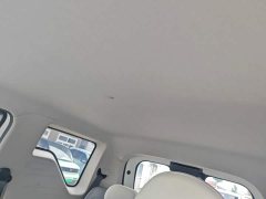 Geely Panda Mini 210km Vitality Edition - ფოტო 18