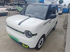 Geely Panda Mini 210km Vitality Edition - ფოტო 2