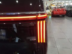 Great Wall WEY Shanshan New Energy Four-Wheel Drive Shanshan 8 - ფოტო 8