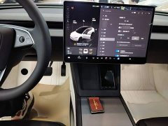 Tesla Model 3 2023 Rear-Wheel Drive - ფოტო 10