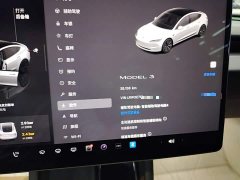 Tesla Model 3 2023 Rear-Wheel Drive - ფოტო 12
