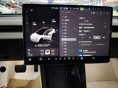 Tesla Model 3 2023 Rear-Wheel Drive - ფოტო 13