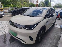 BYD Dolphin Smart Drive 420km Freedom Edition - ფოტო 1