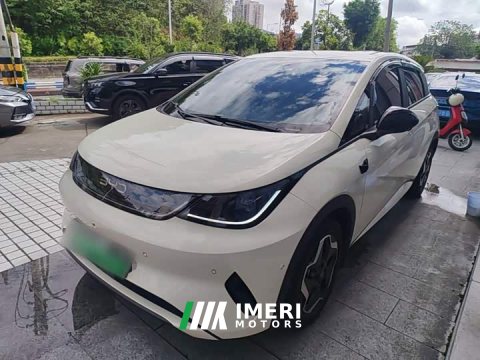 2025 BYD Dolphin Smart Drive 420km Freedom Edition - ავტომობილი ჩინეთიდან