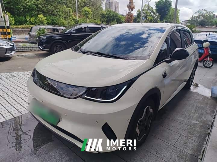 BYD Dolphin Smart Drive 420km Freedom Edition