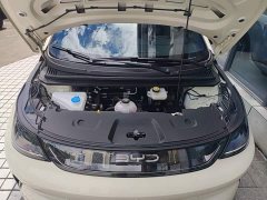 BYD Dolphin Smart Drive 420km Freedom Edition - ფოტო 20